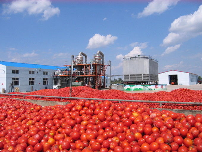 Arkhum (Tianjin) Health Technology Co., Ltd. nhà sản xuất dây chuyền sản xuất